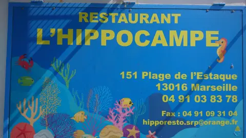 L'Hippocampe