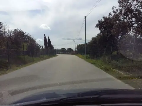 Toussière