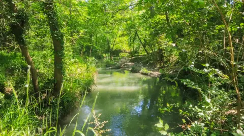 La Malautière
