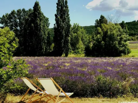 La Ferme aux Lavandes, à Sault en Provence