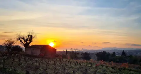Domaine de L'Estagnol