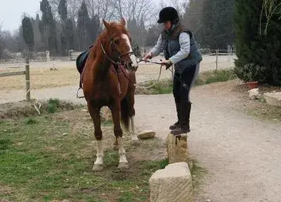 Ecuries des elfes