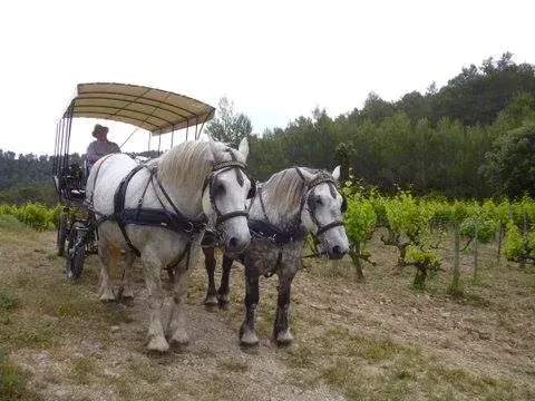 Les Calèches de Mado