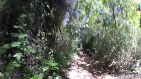 Piste de la Calanque