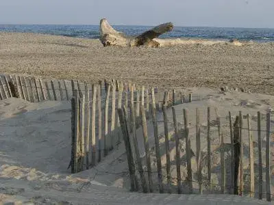 La plage d'Arles - Plage de Piémanson