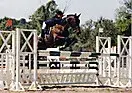 Club hippique "Les Plaines"