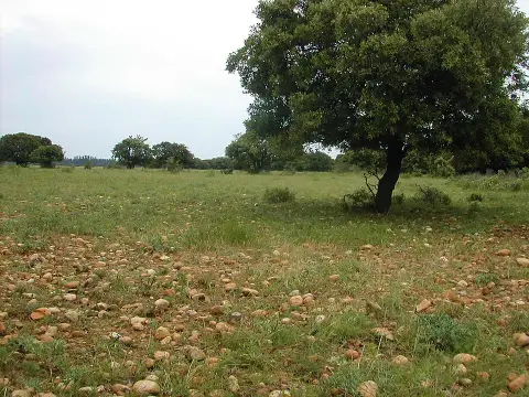 Réserve naturelle des Coussouls de Crau