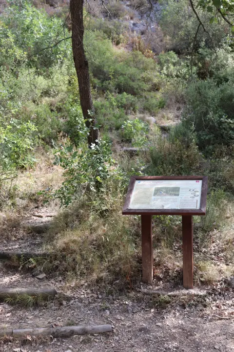Sentier botanique