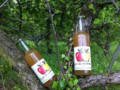 Daniel EGEA - Vente directe de jus de pommes et légumes Bio