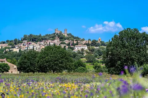 Grimaud