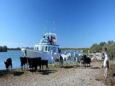 Bateau Le Camargue