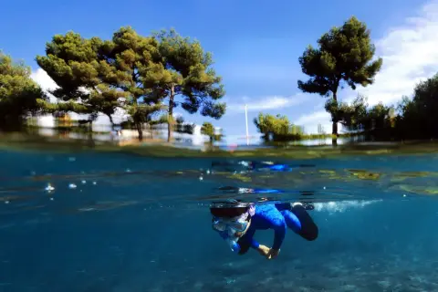 Sentiers sous-marins du Parc Marin de la Côte Bleue à Carry-le-Rouet