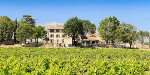 Domaine de l'Anticaille