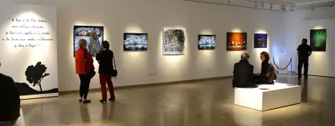 Galerie Sandrine Berthon