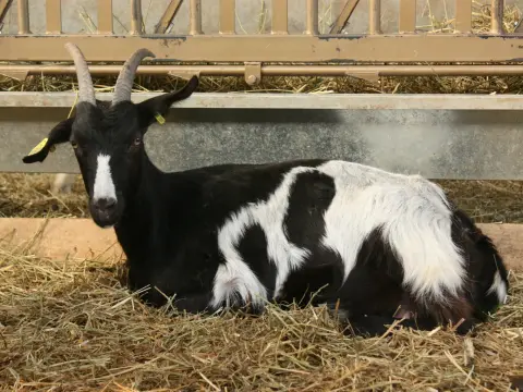 La Ferme d'Aurons