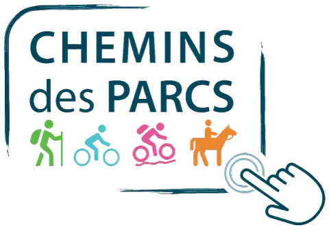 Port-Saint-Louis à vélo, la ville entourée d'eau