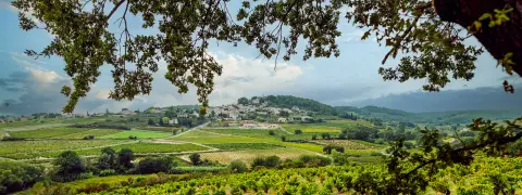 Domaine des Girasols SCEA