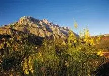 Réserve naturelle de Sainte Victoire