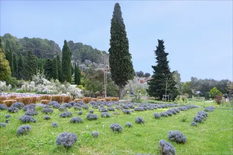 Les Jardins du Musée International de la Parfumerie