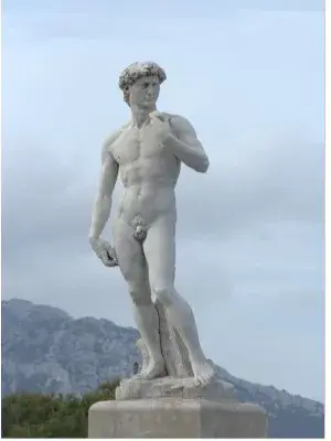Le David