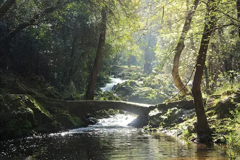 Sentier De La Brague