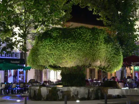 Salon-de-Provence