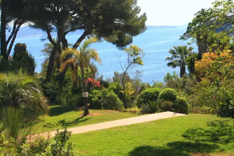Avenue des Calanques