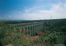 L'Arbois