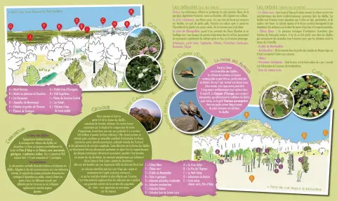 Arboretum de Badon