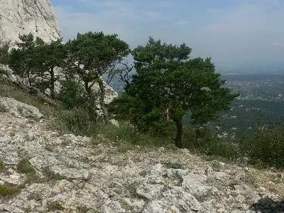 Chaîne de l'Etoile