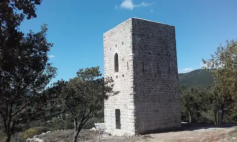 Tour Grimaldi
