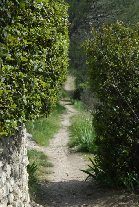Le Parc des Tours