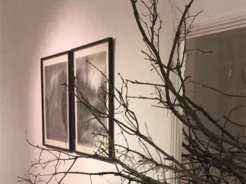 MAC Arteum - musée d'art contemporain