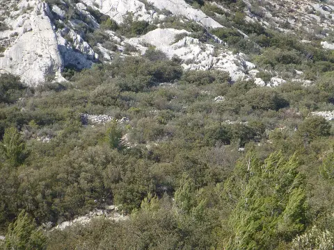 Oppidum de Bramefan