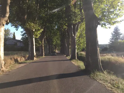 Jardins des simples et des plantes villageoises