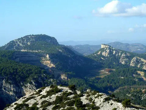 Ouvrage du Gros Cerveau