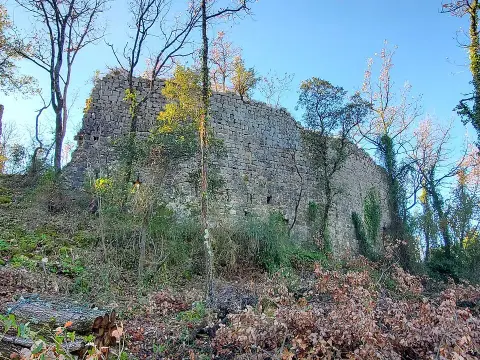 Ruines du Village médiéval de Puybresson