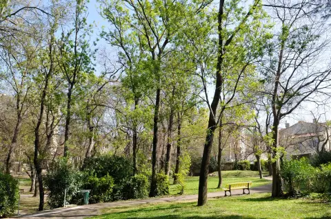Parc du Vieux Moulin