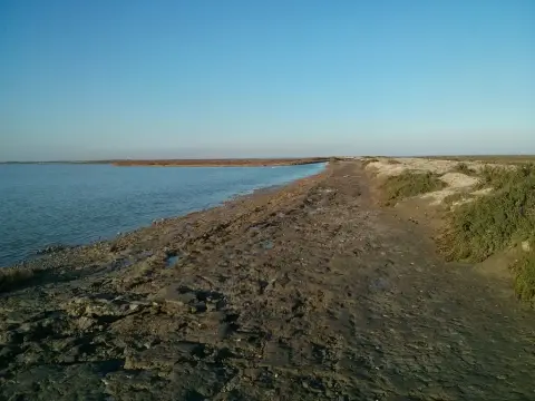 Plage Establissements Digue A la Mer