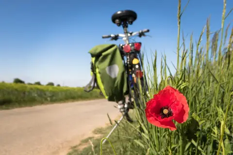 Autour de la Montagnette 2