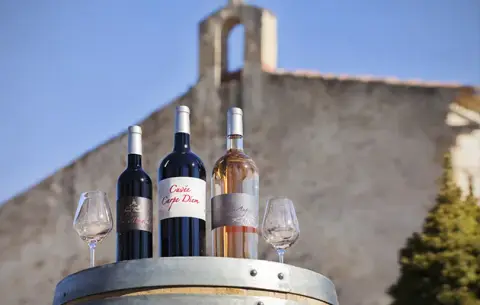 Domaine de Saint Bacchi