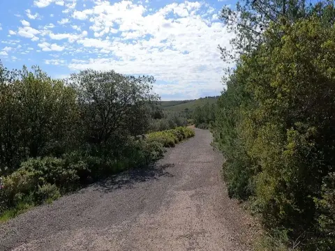315-135