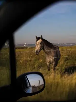 Une traversée buissonnière sur l'ancienne Nationale 7