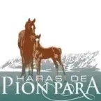 Haras de Pion Para