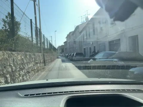 Cannes Palm Beach