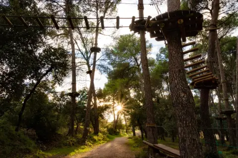 Le Royaume des Arbres - Parcours aventure