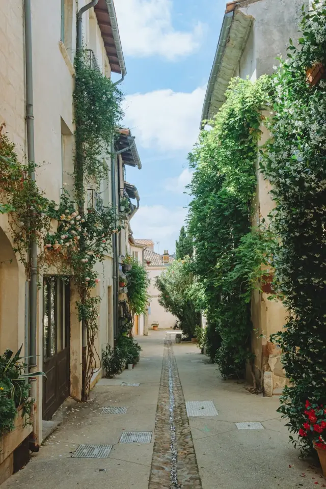 Atypique appartement avec jardin à Fox-Amphoux — Provence