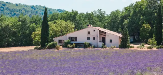 Élégant maison au calme à La Tour