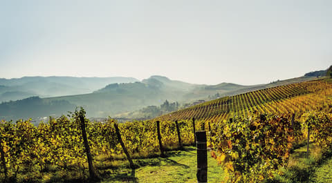 Domaine Beauvence