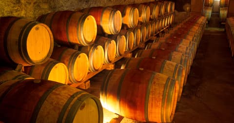Château De Tiregand Winery